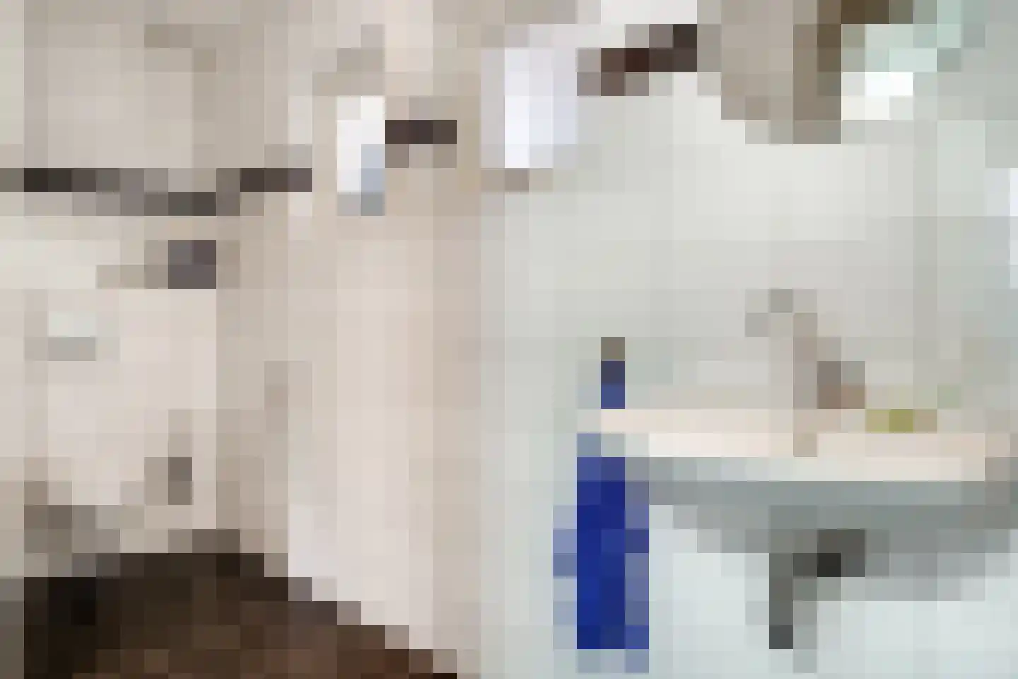 Wilhelminastraat 116 Didam thumbnail 13
