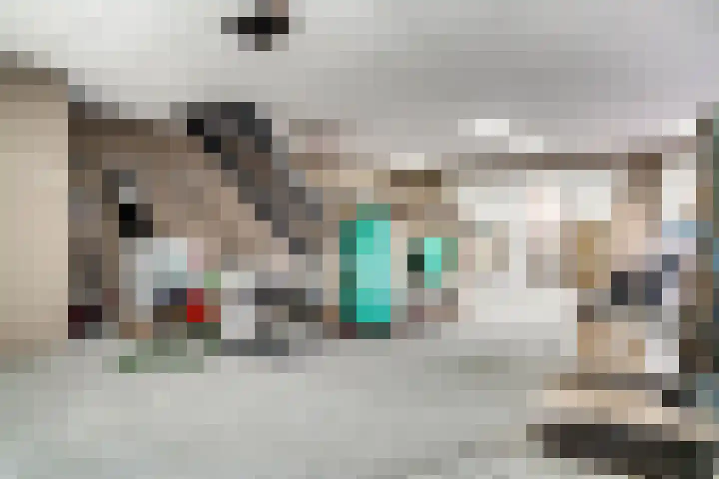 Wilhelminastraat 116 Didam thumbnail 19