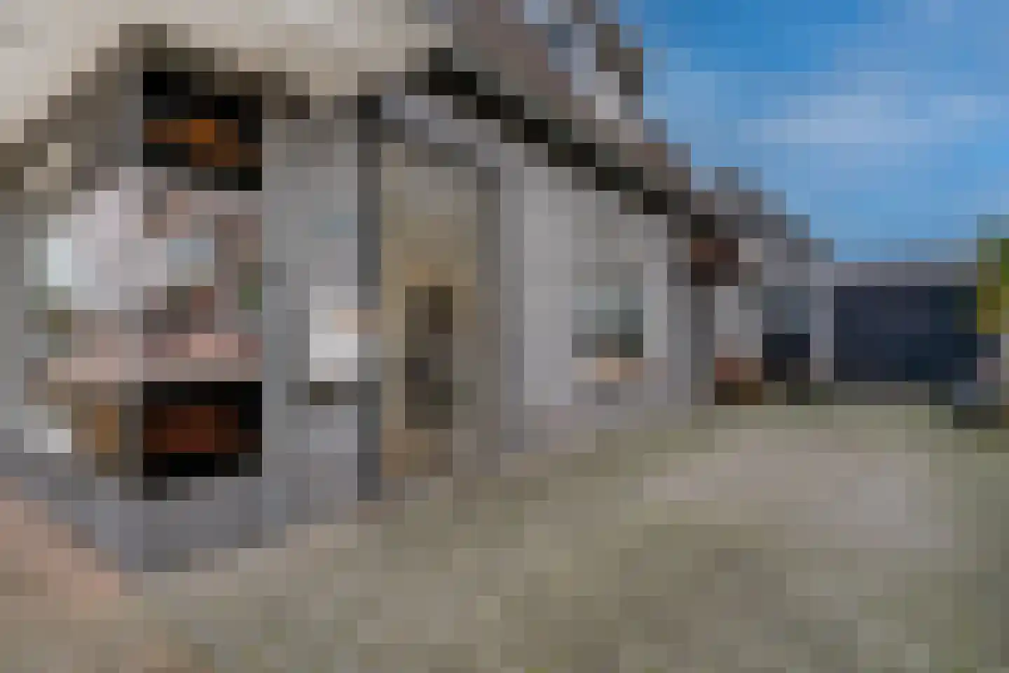 Wilhelminastraat 116 Didam thumbnail 20
