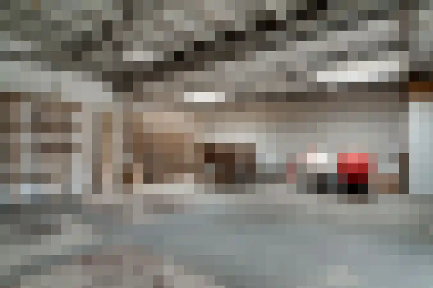 Wilhelminastraat 116 Didam thumbnail 22