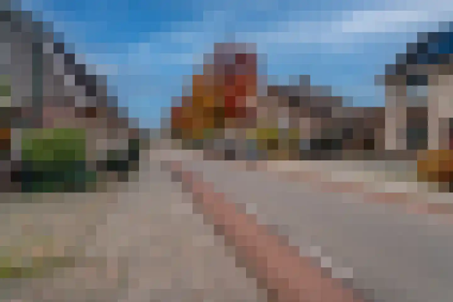 Wilhelminastraat 116 Didam thumbnail 24