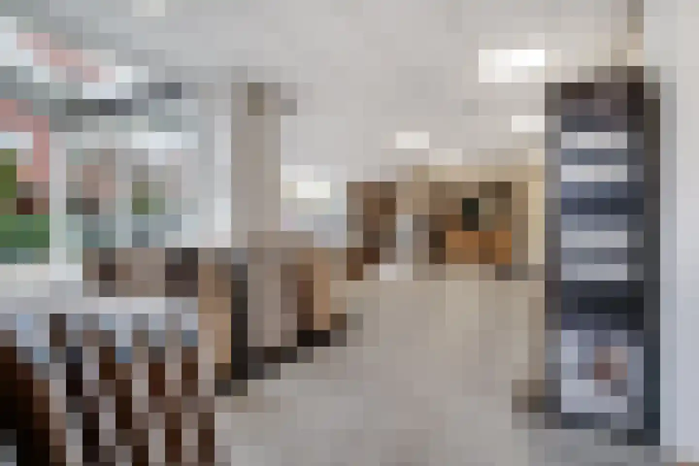 Wilhelminastraat 116 Didam thumbnail 5