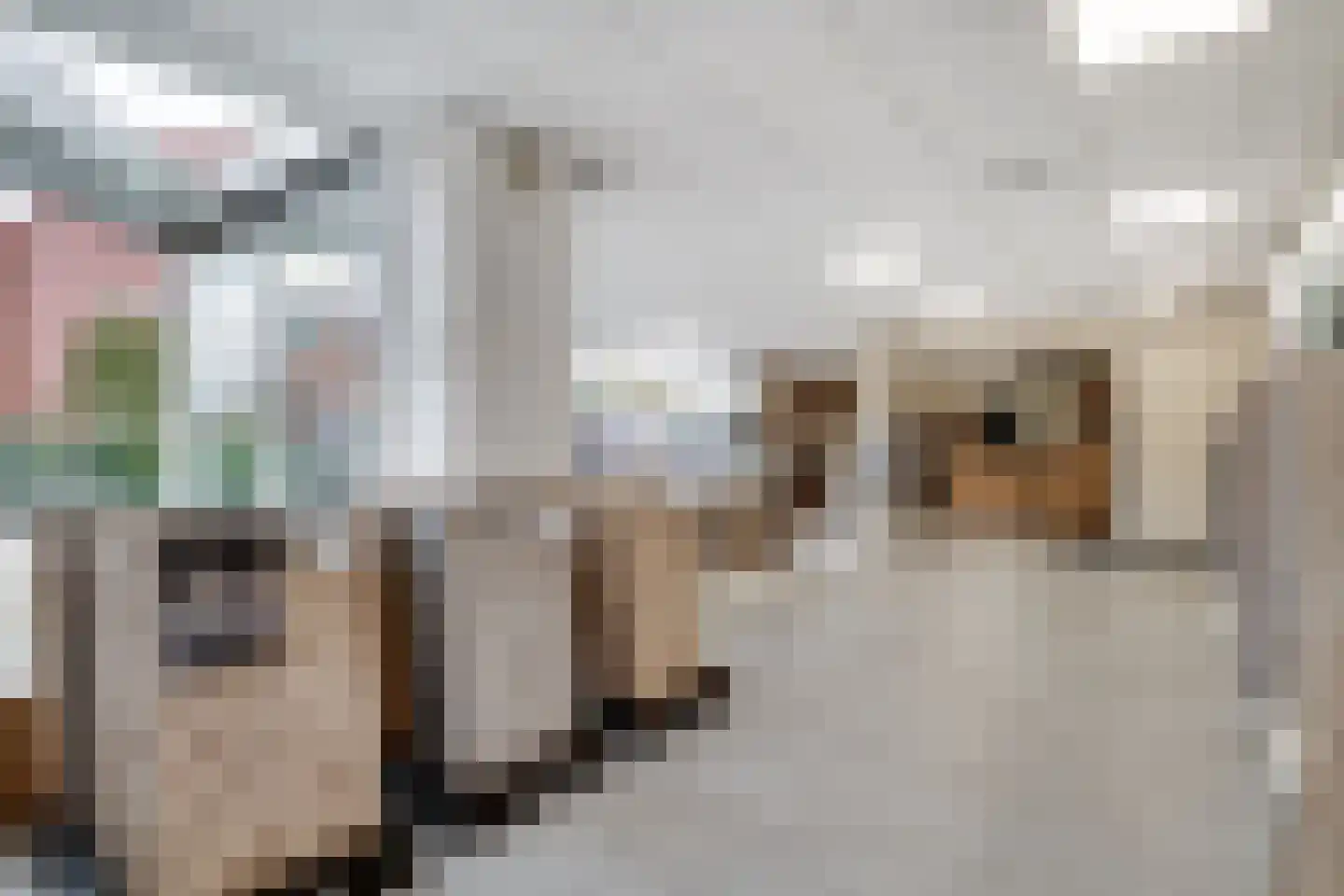 Wilhelminastraat 116 Didam thumbnail 8