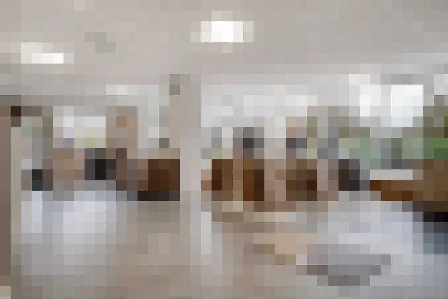 Wilhelminastraat 116 Didam thumbnail 9