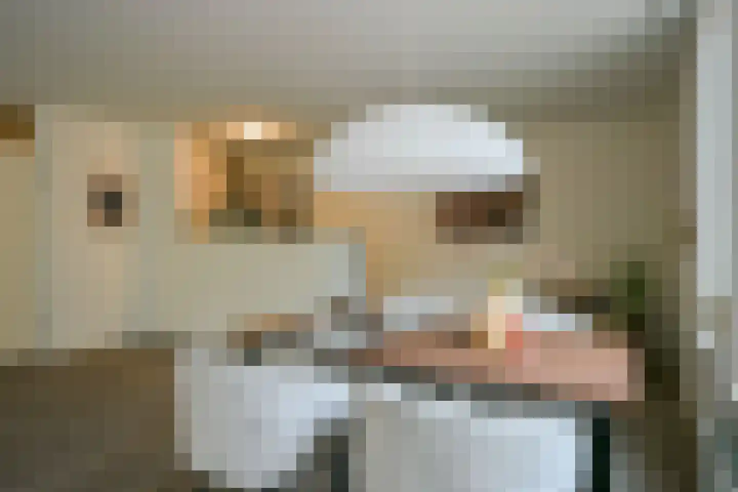 Wilhelminastraat 12 1 Sittard thumbnail 4