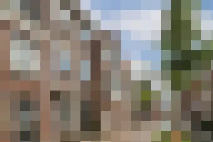 Wilhelminastraat 12 in Gouda