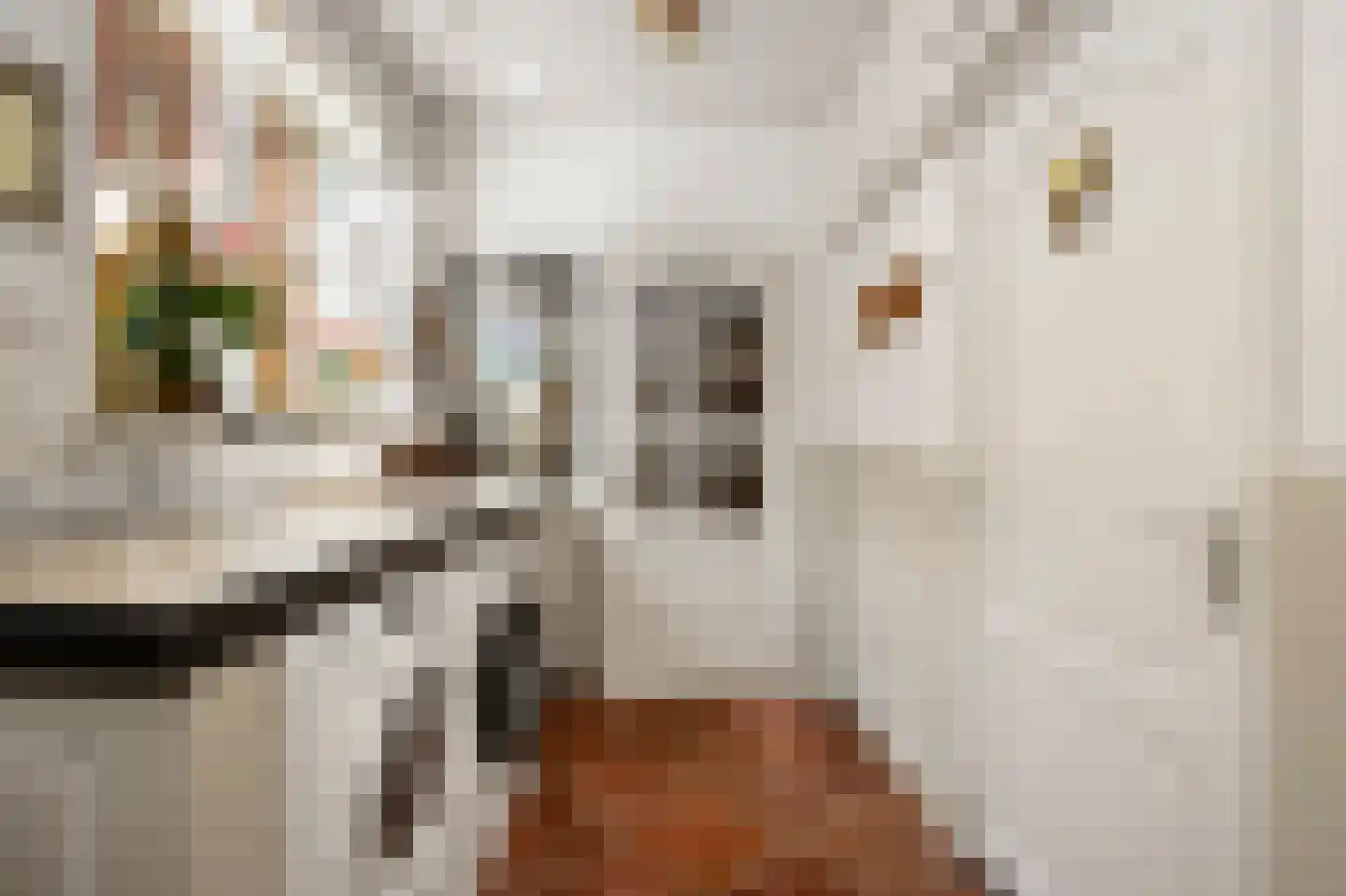 Wilhelminastraat 12 Andel thumbnail 14