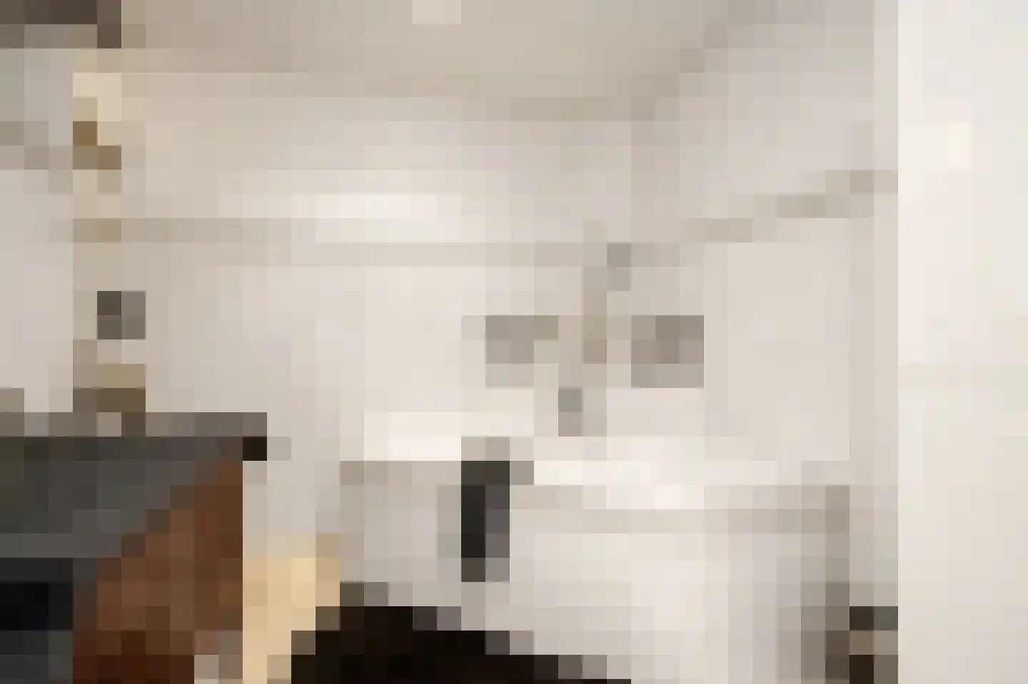 Wilhelminastraat 12 Andel thumbnail 15