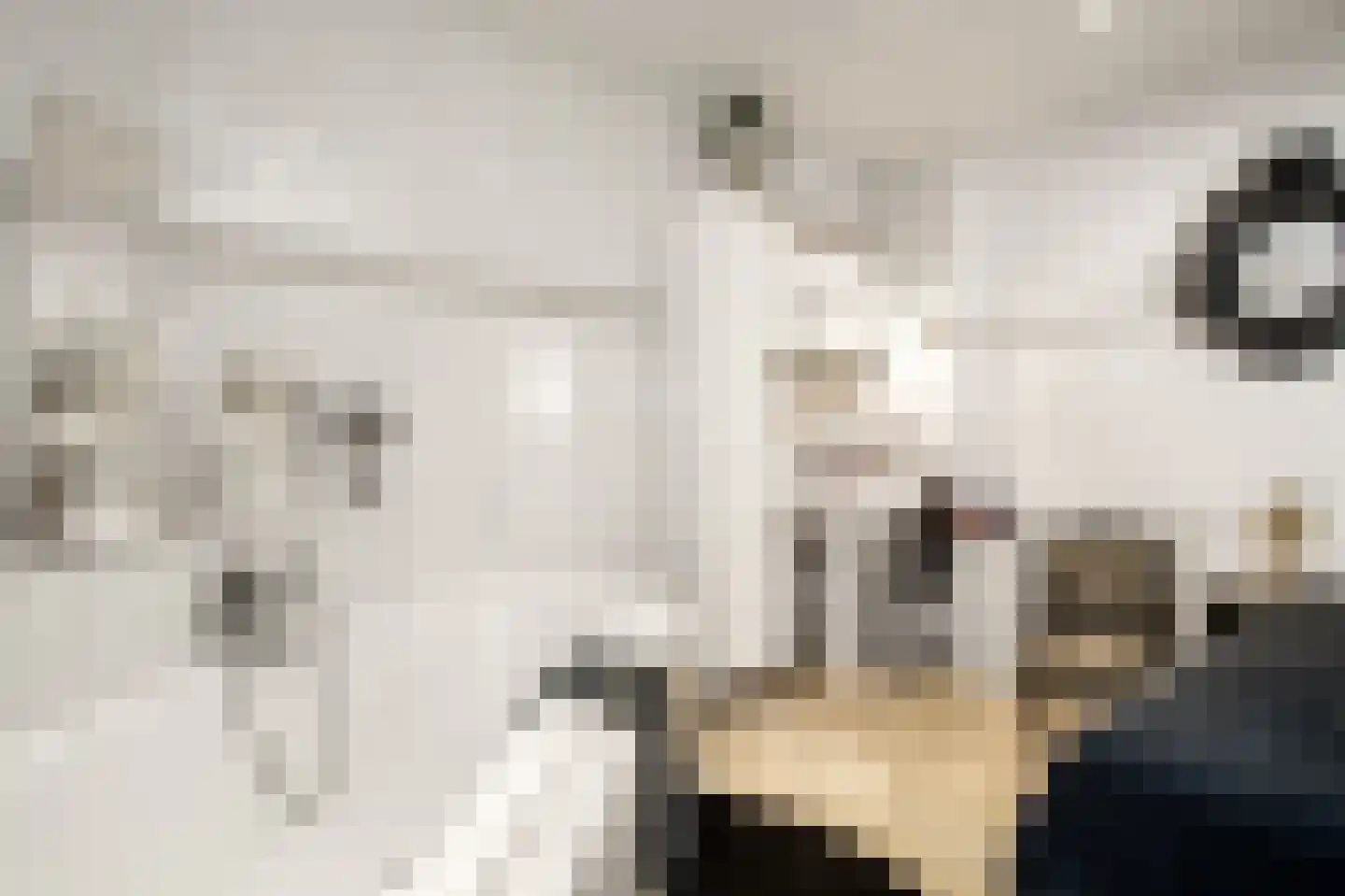 Wilhelminastraat 12 Andel thumbnail 16