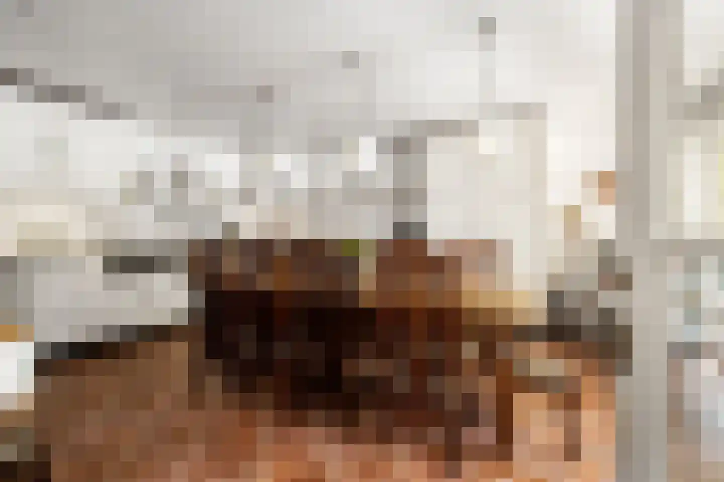 Wilhelminastraat 12 Andel thumbnail 17