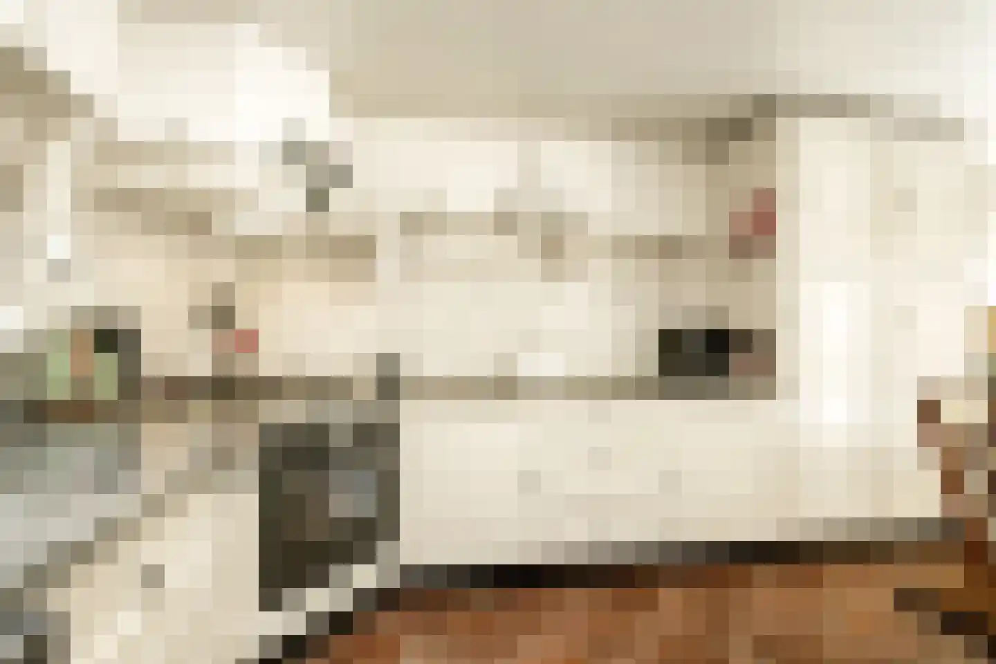 Wilhelminastraat 12 Andel thumbnail 19