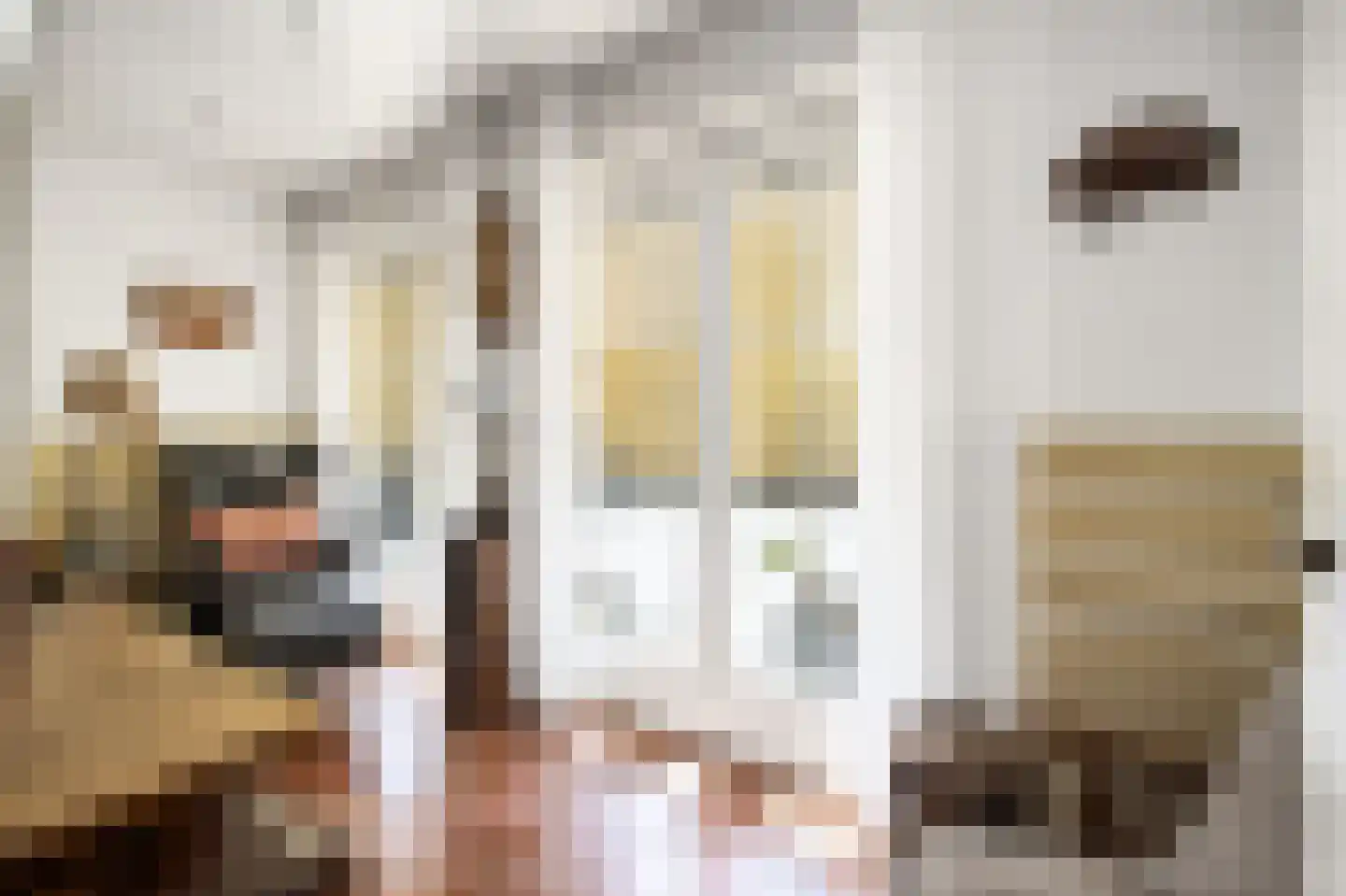Wilhelminastraat 12 Andel thumbnail 21