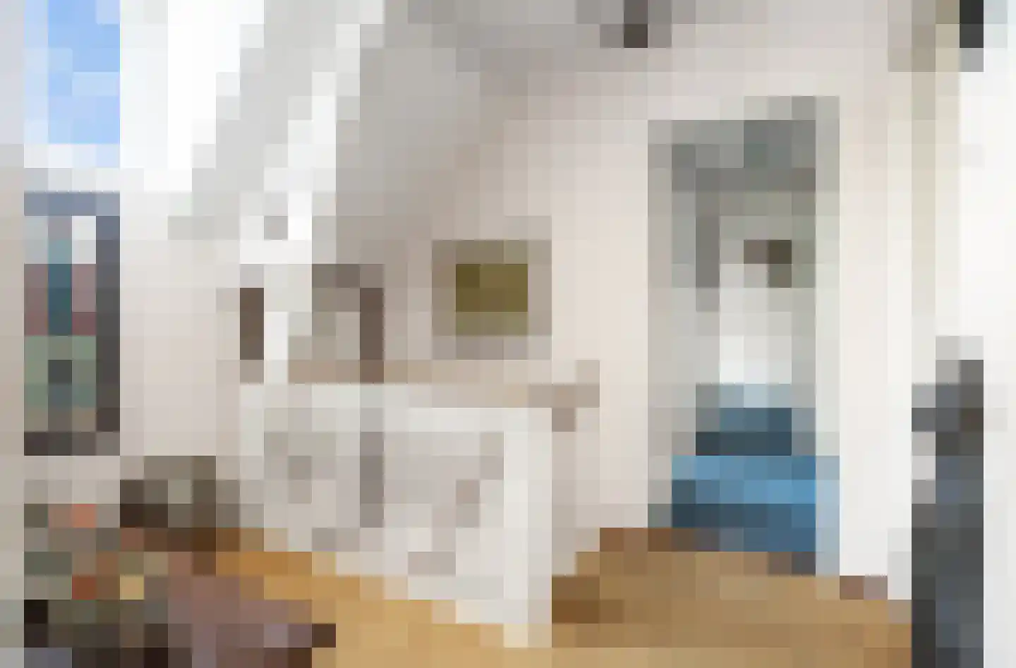 Wilhelminastraat 12 Andel thumbnail 23