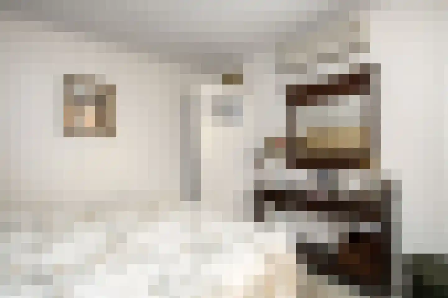 Wilhelminastraat 12 Andel thumbnail 26