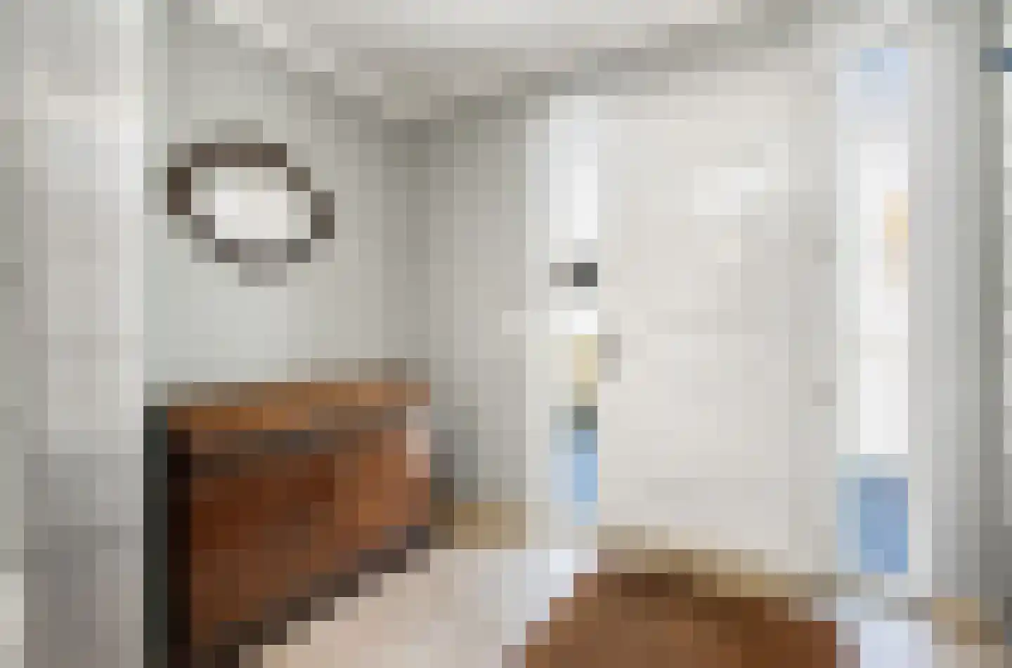 Wilhelminastraat 12 Andel thumbnail 38