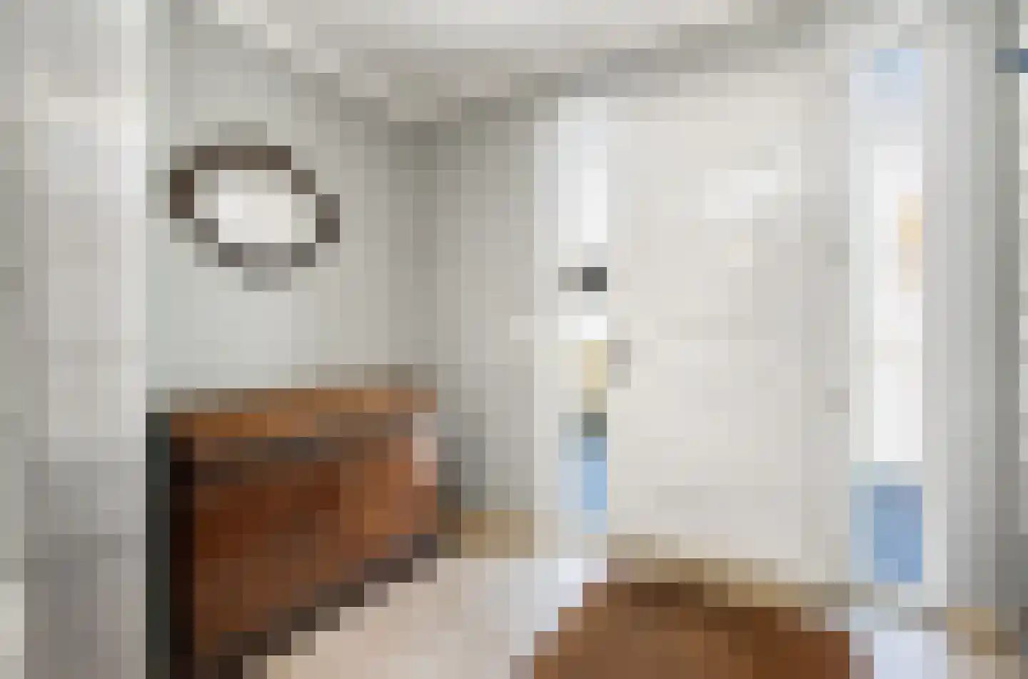 Wilhelminastraat 12 Andel thumbnail 38