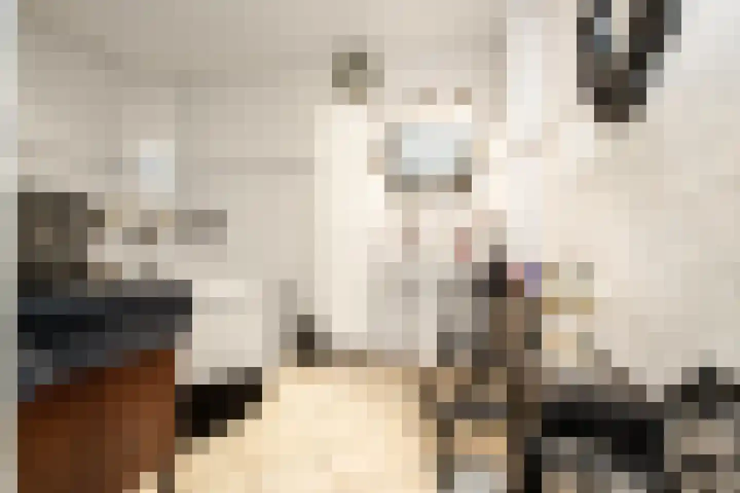 Wilhelminastraat 12 Andel thumbnail 4