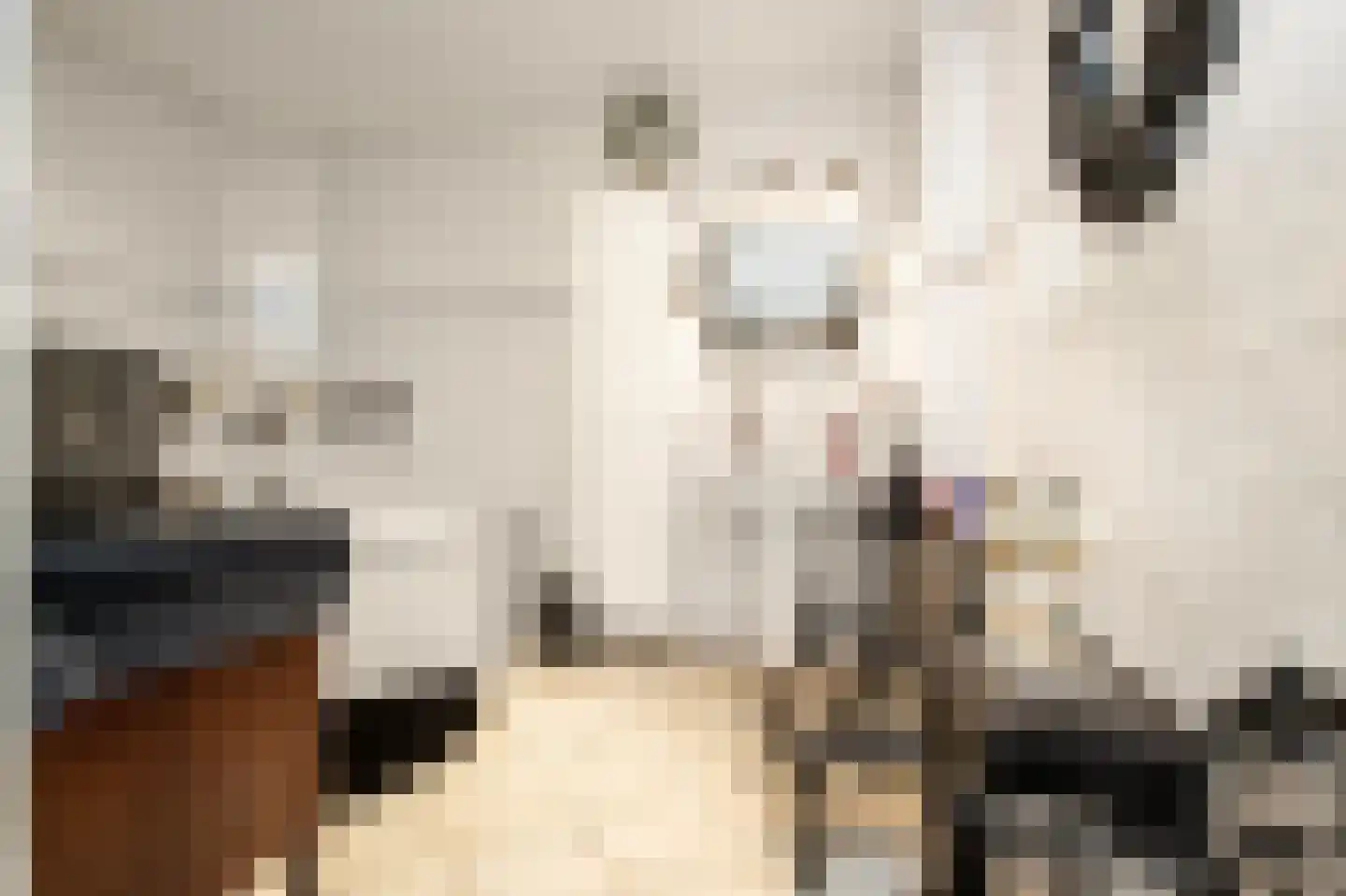 Wilhelminastraat 12 Andel thumbnail 4