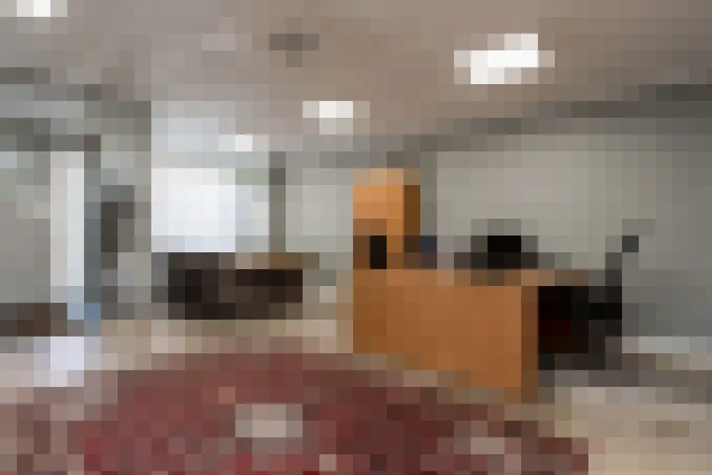 Wilhelminastraat 12 Andel thumbnail 41
