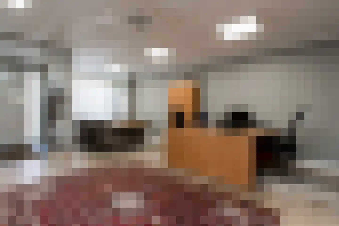 Wilhelminastraat 12 Andel thumbnail 41