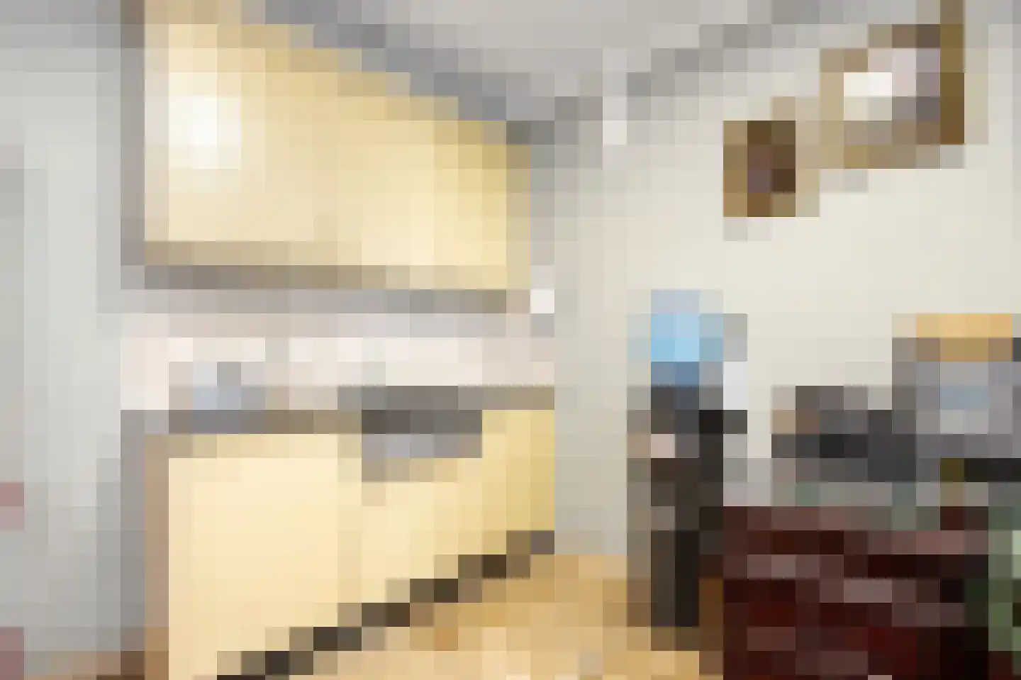 Wilhelminastraat 12 Andel thumbnail 42