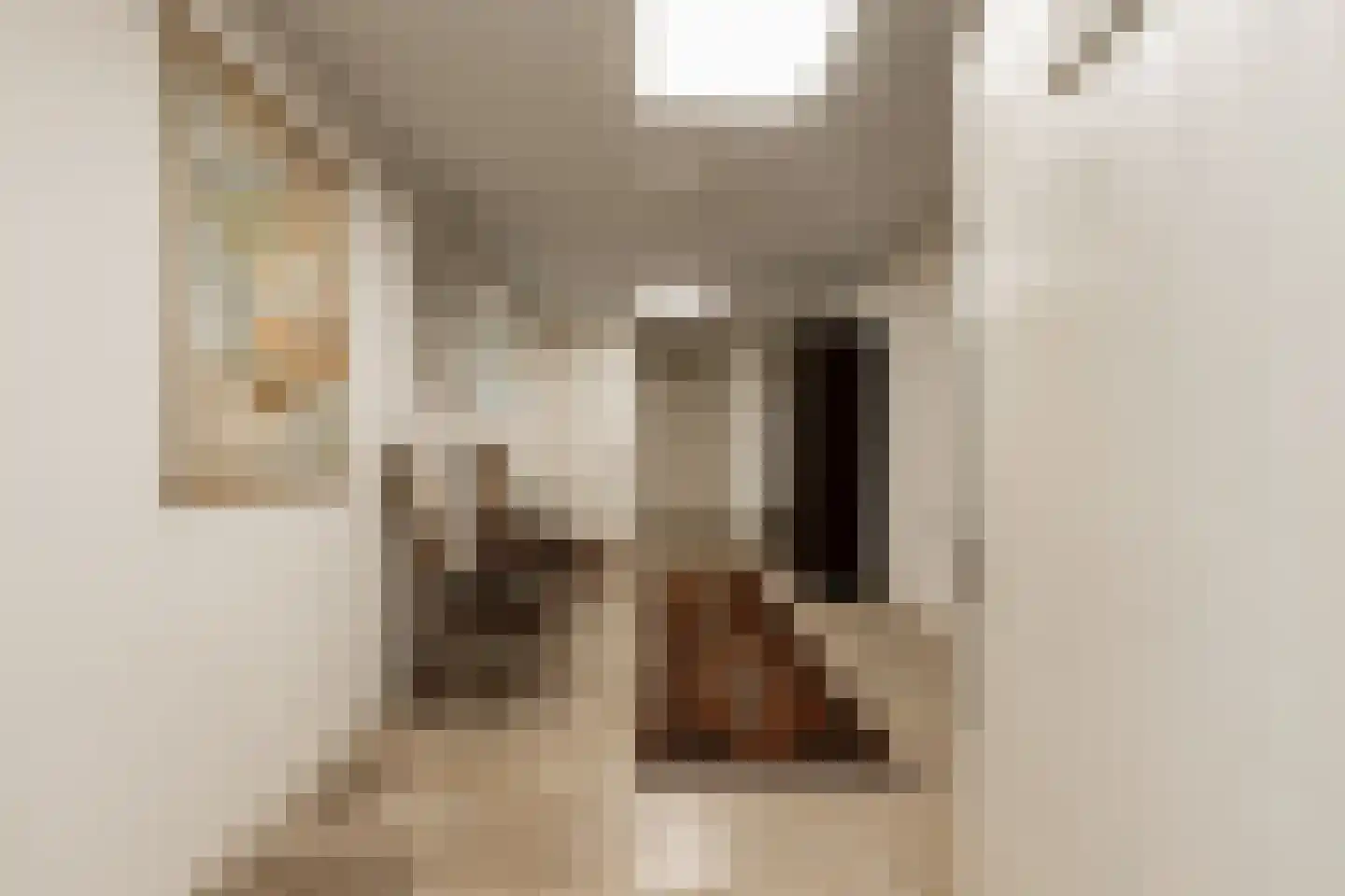 Wilhelminastraat 12 Andel thumbnail 43