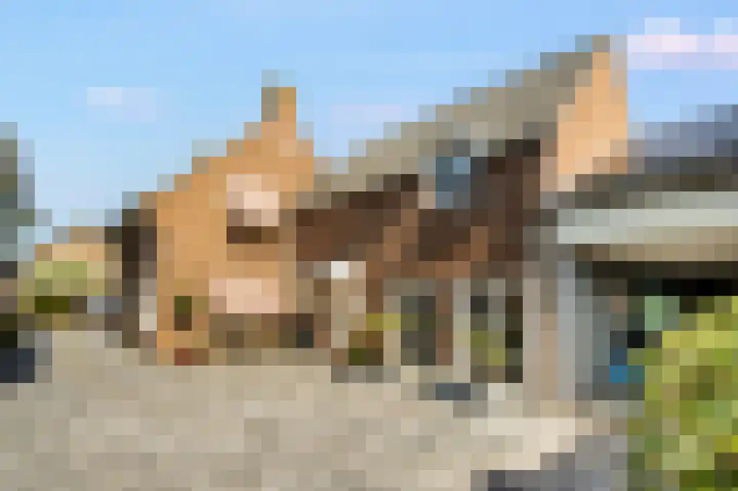 Wilhelminastraat 12 Andel thumbnail 5