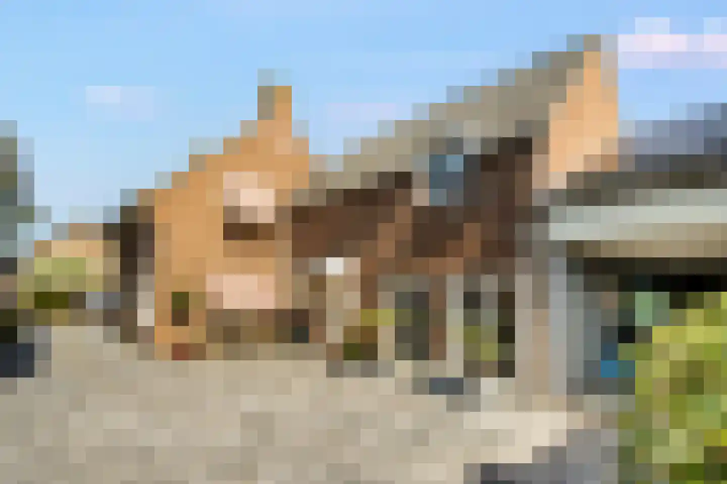 Wilhelminastraat 12 Andel thumbnail 5