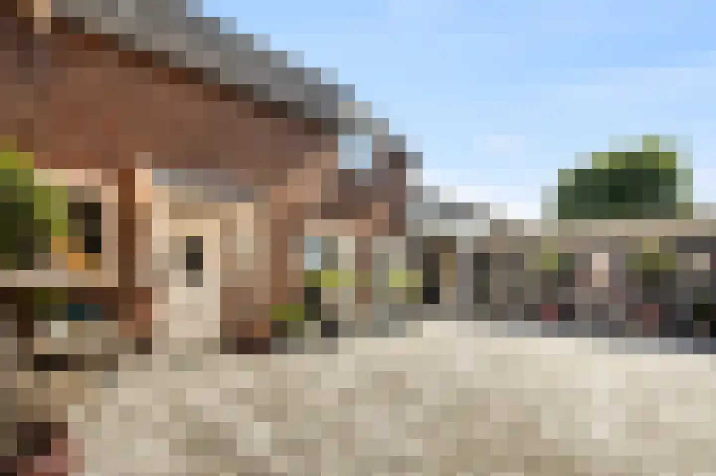 Wilhelminastraat 12 Andel thumbnail 58