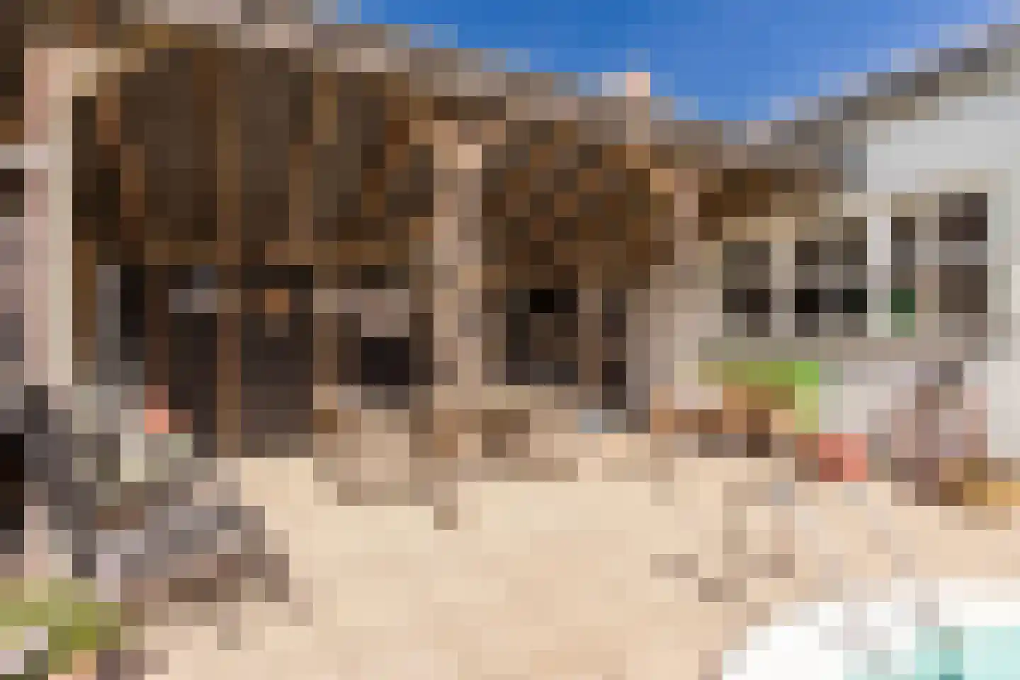Wilhelminastraat 12 Andel thumbnail 62