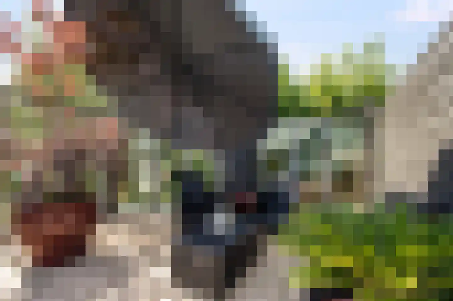 Wilhelminastraat 12 Andel thumbnail 63