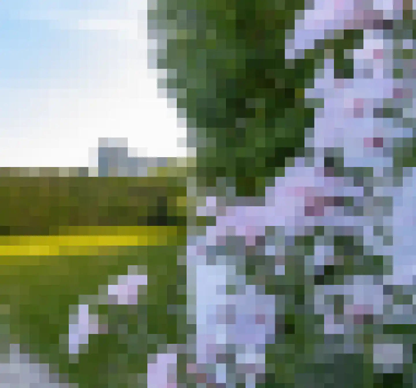 Wilhelminastraat 12 Andel thumbnail 67