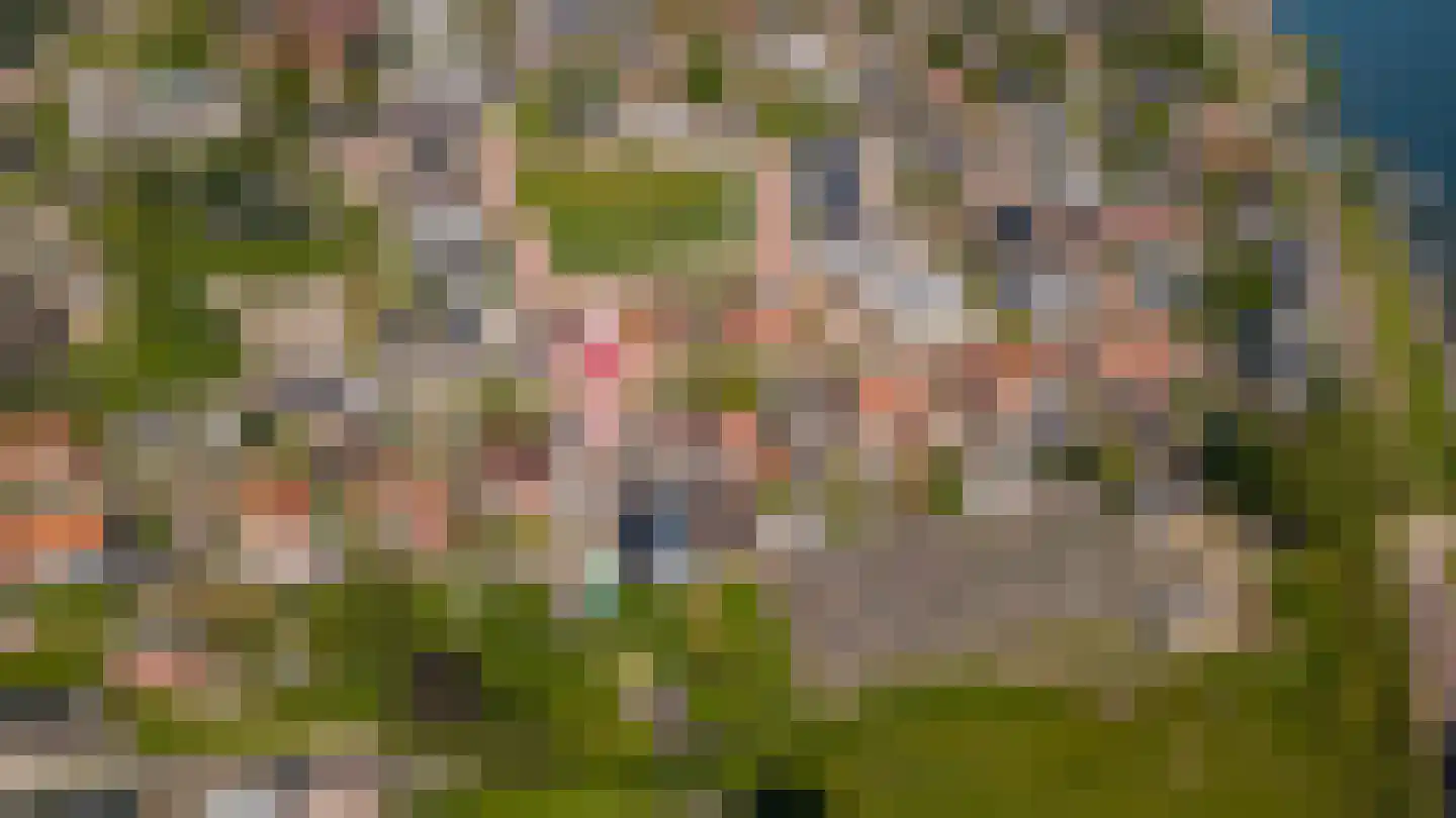 Wilhelminastraat 12 Andel thumbnail 77