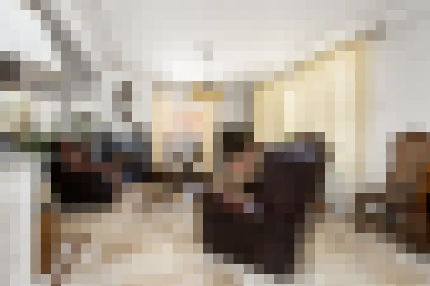 Wilhelminastraat 12 Andel thumbnail 9