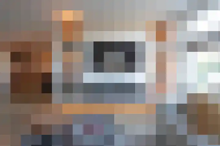 Wilhelminastraat 12 Bosschenhoofd thumbnail 11