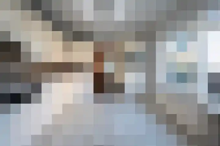 Wilhelminastraat 12 Bosschenhoofd thumbnail 16