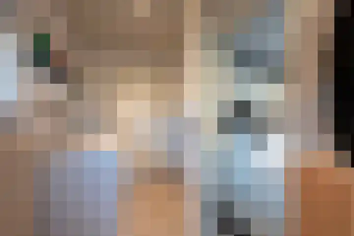 Wilhelminastraat 12 Bosschenhoofd thumbnail 17