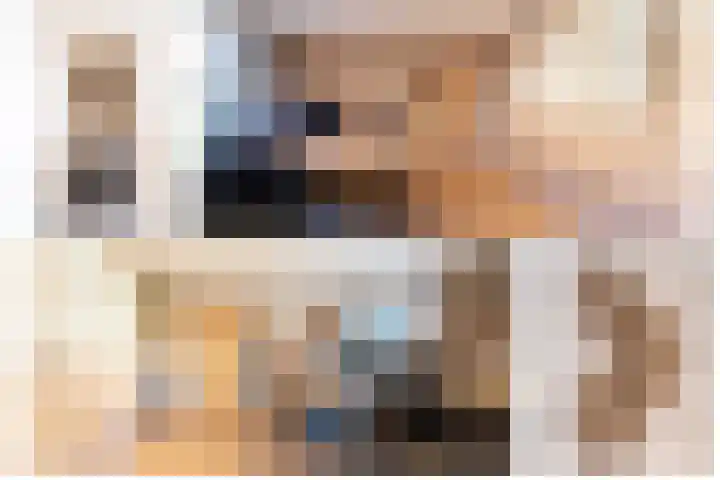 Wilhelminastraat 12 Bosschenhoofd thumbnail 19