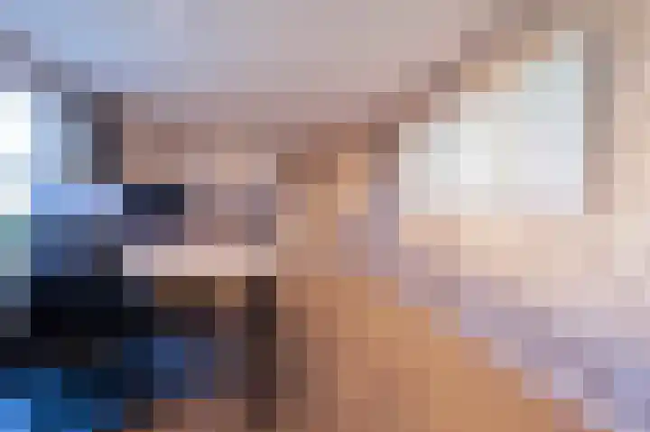 Wilhelminastraat 12 Bosschenhoofd thumbnail 20