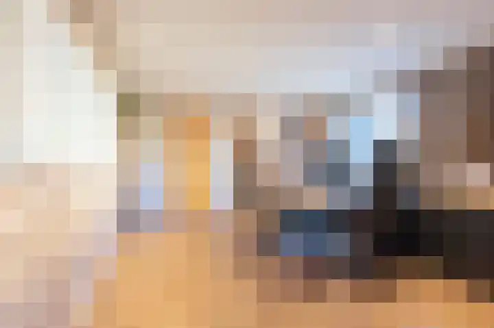 Wilhelminastraat 12 Bosschenhoofd thumbnail 21