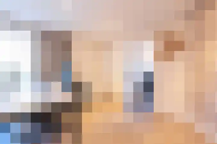 Wilhelminastraat 12 Bosschenhoofd thumbnail 22