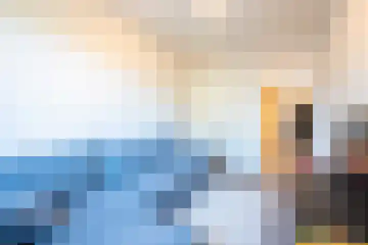 Wilhelminastraat 12 Bosschenhoofd thumbnail 24