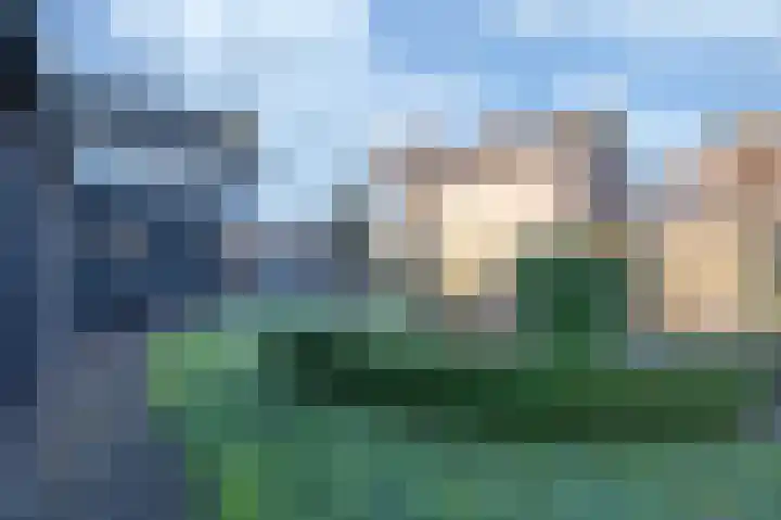 Wilhelminastraat 12 Bosschenhoofd thumbnail 27