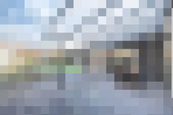 Wilhelminastraat 12 Bosschenhoofd thumbnail 28