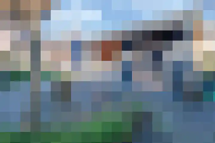 Wilhelminastraat 12 Bosschenhoofd thumbnail 30