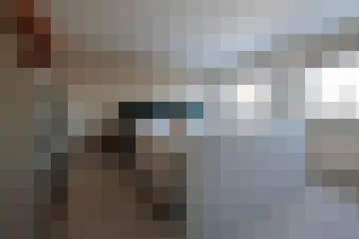 Wilhelminastraat 12 Bosschenhoofd thumbnail 33
