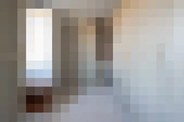 Wilhelminastraat 12 Bosschenhoofd thumbnail 35
