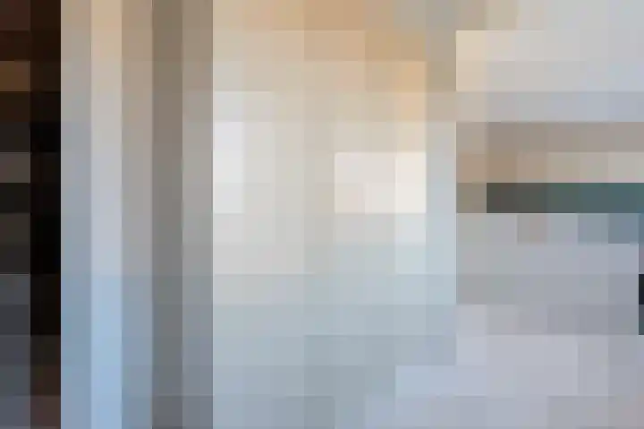 Wilhelminastraat 12 Bosschenhoofd thumbnail 36