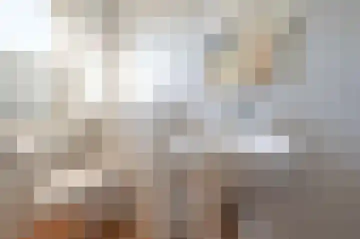 Wilhelminastraat 12 Bosschenhoofd thumbnail 38