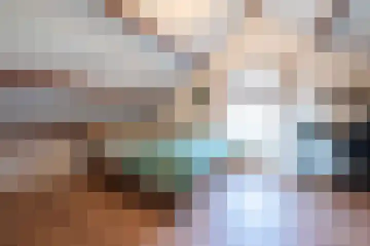Wilhelminastraat 12 Bosschenhoofd thumbnail 44
